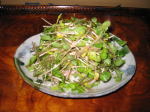 そばの芽と長芋のサラダ